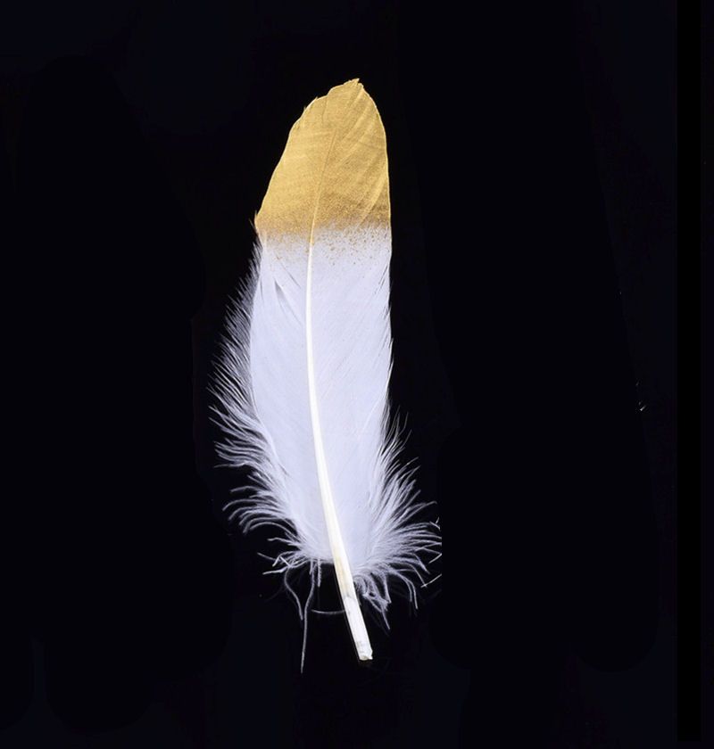White Goose Quill Feather with Gold Painted Metallic Tip x 1
