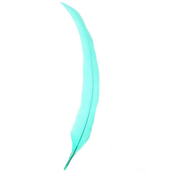 Turquoise  Rooster Coque Tail Feather (Seconds)