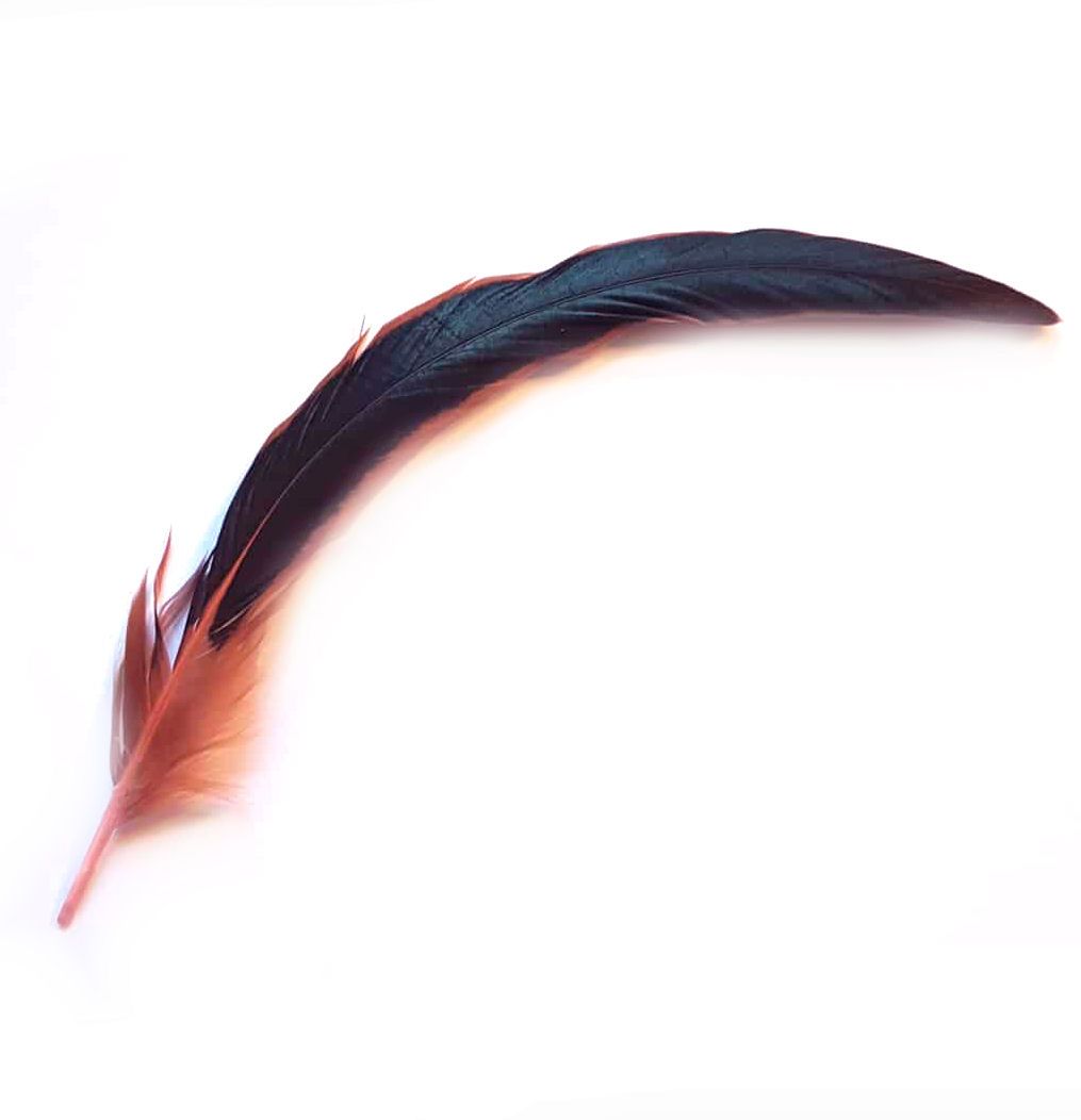 Pink Bronze Rooster Coque Tail Feather (Seconds)