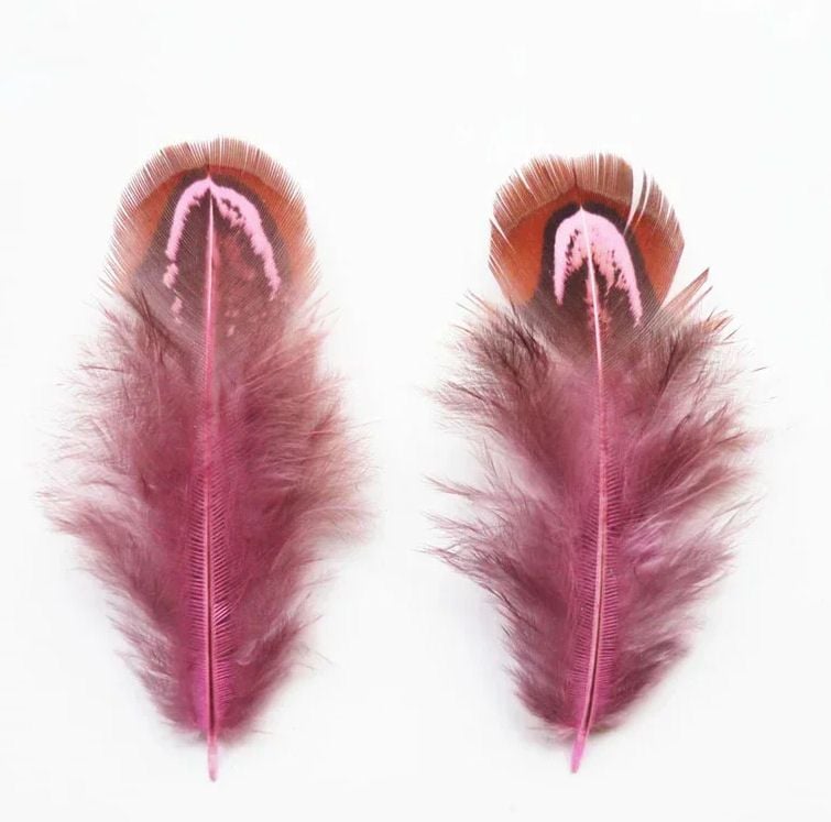 Pink Almond Ringneck Plumage Feathers
