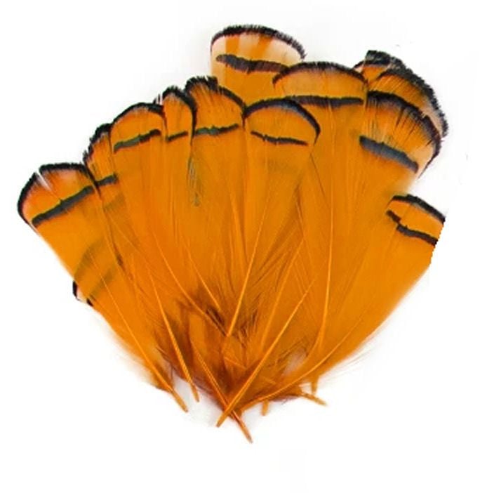 Orange Partridge Chakur Feathers