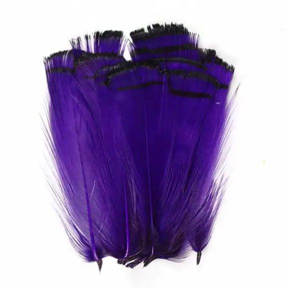 Purple Partridge Chakur Feathers
