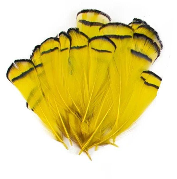 Yellow Partridge Chakur Feathers