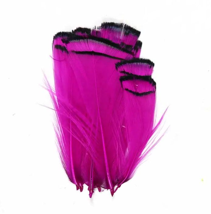 Dark Pink Partridge Chakur Feathers