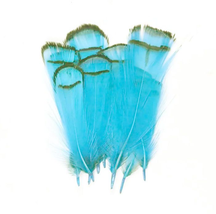 Turquoise Partridge Chakur Feathers