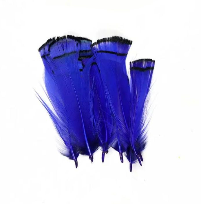 Royal Blue Partridge Chakur Feathers