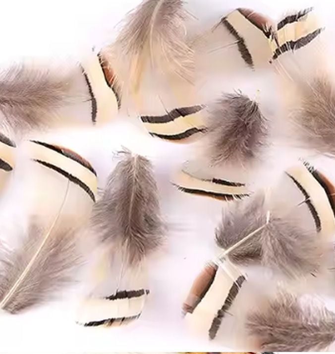 Natural Partridge Chakur Feathers