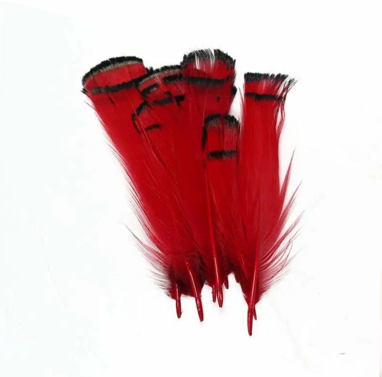 Red Partridge Chakur Feathers