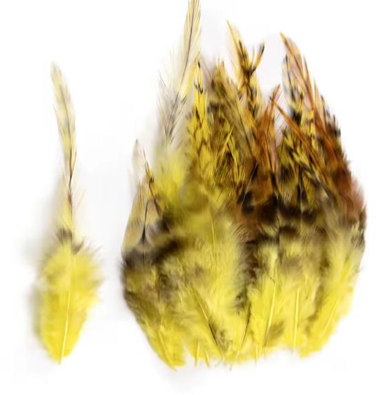 Yellow Grizzly Rooster Saddle Hackle Feathers