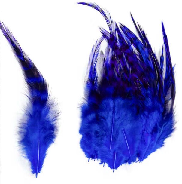Royal Blue Grizzly Rooster Saddle Hackle Feathers