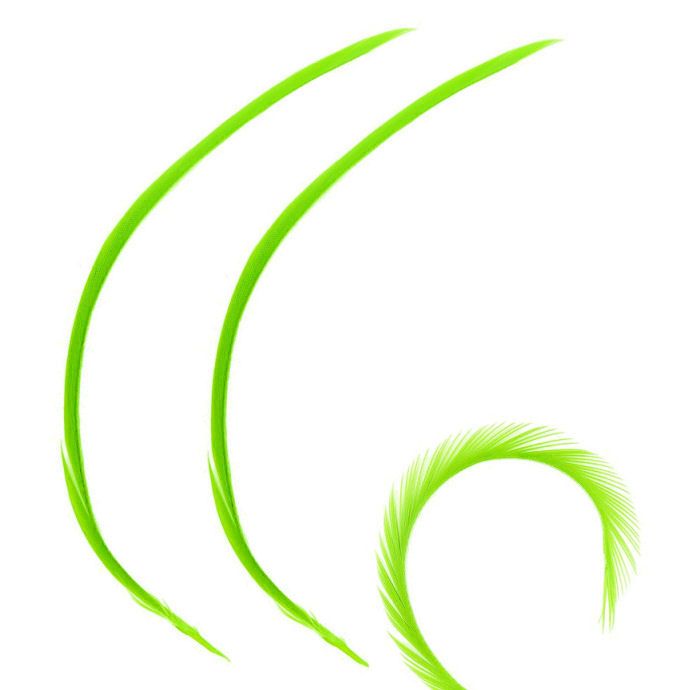 Lime Green Goose Biot Feather (Single)