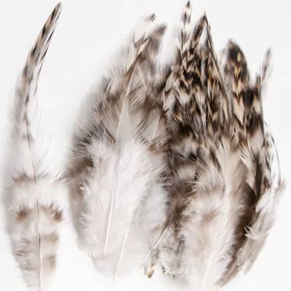 Natural Grizzly Rooster Saddle Hackle Feathers