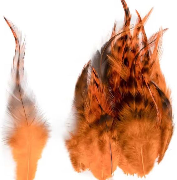 Orange Grizzly Rooster Saddle Hackle Feathers