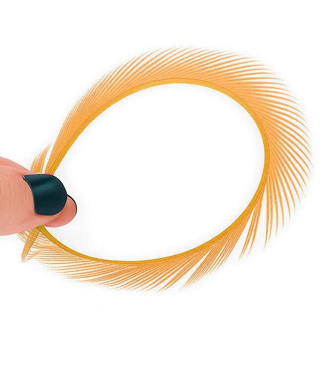 Mango Goose Biot Feather (single)