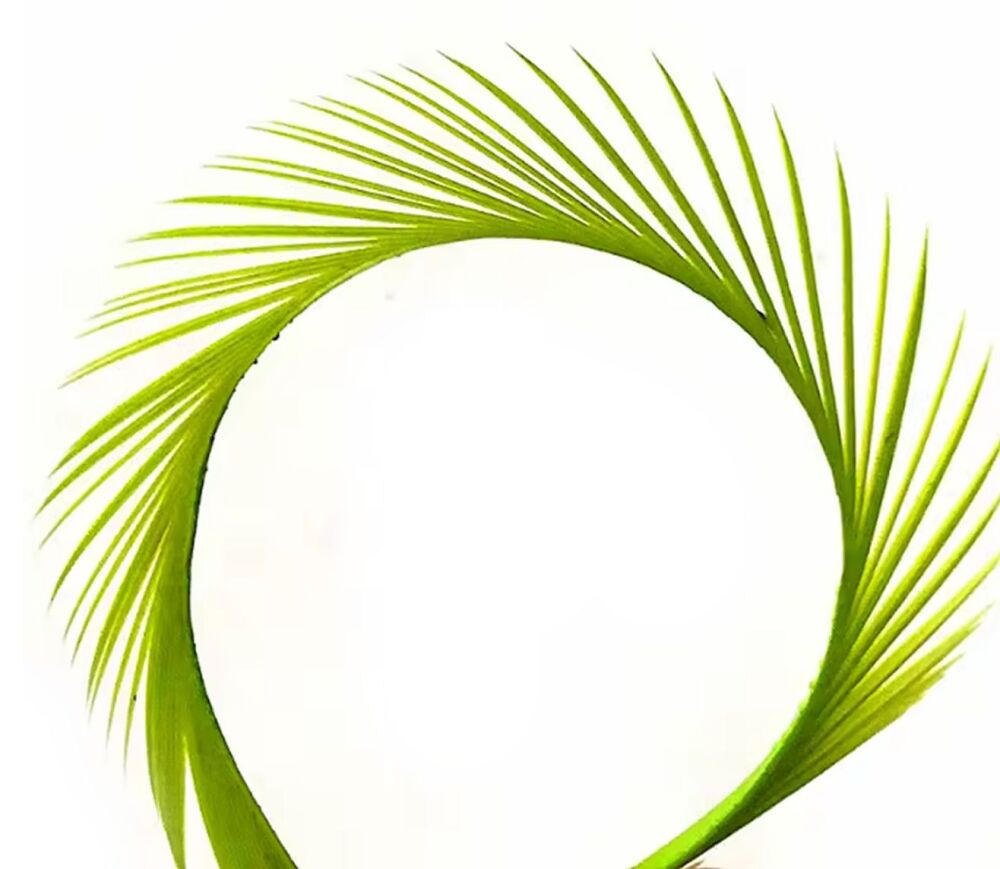 Moss Green Goose Biot Feather (Single)