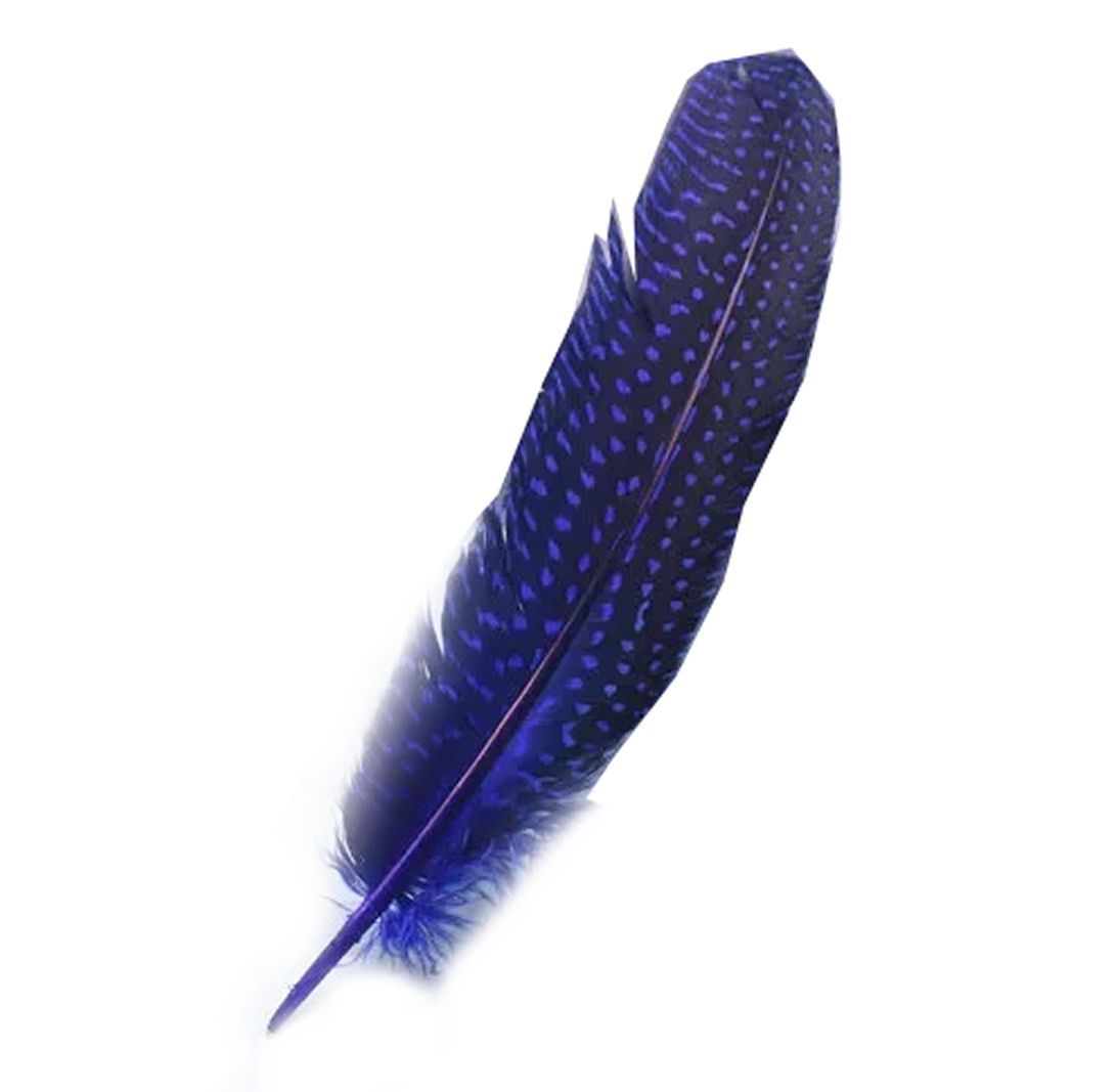Royal Blue Guinea Fowl Wing Quill Feather