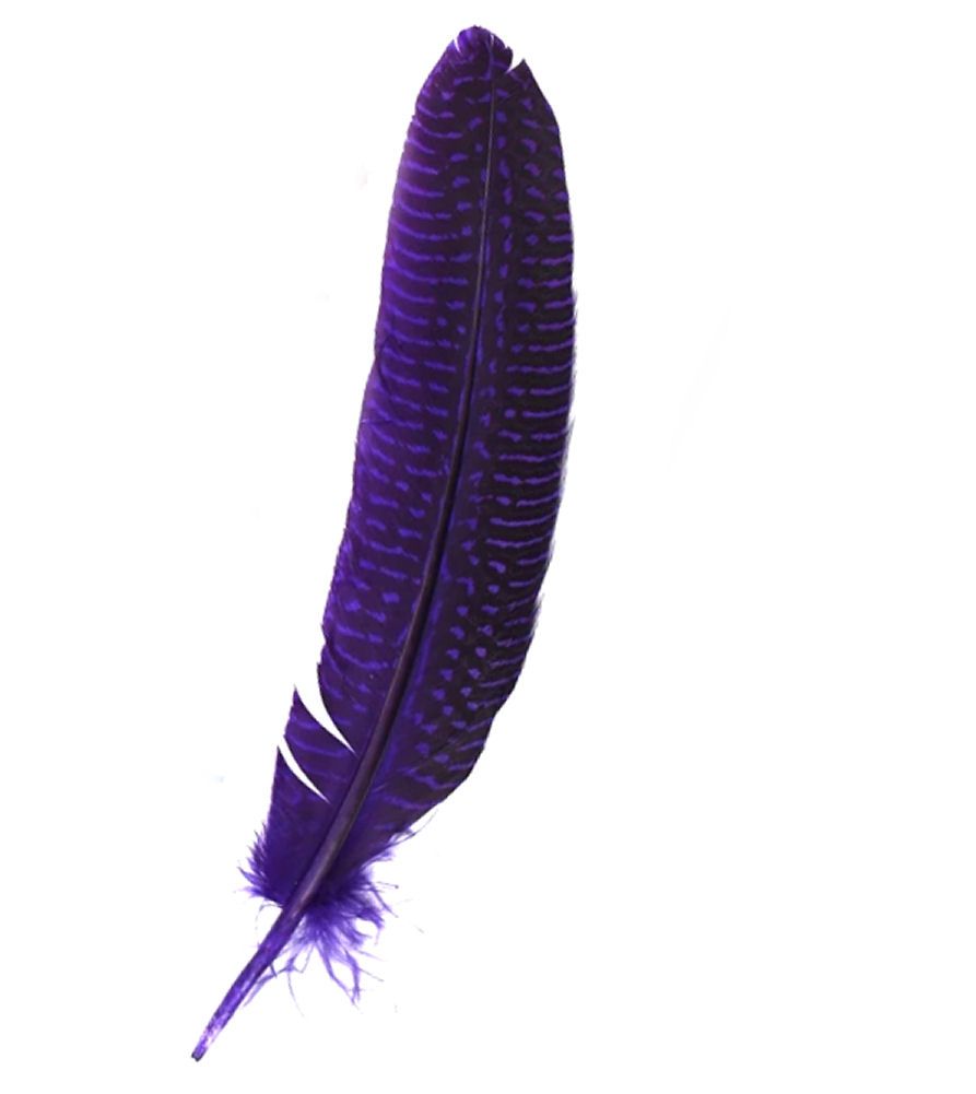Purple Guinea Fowl Wing Quill Feather