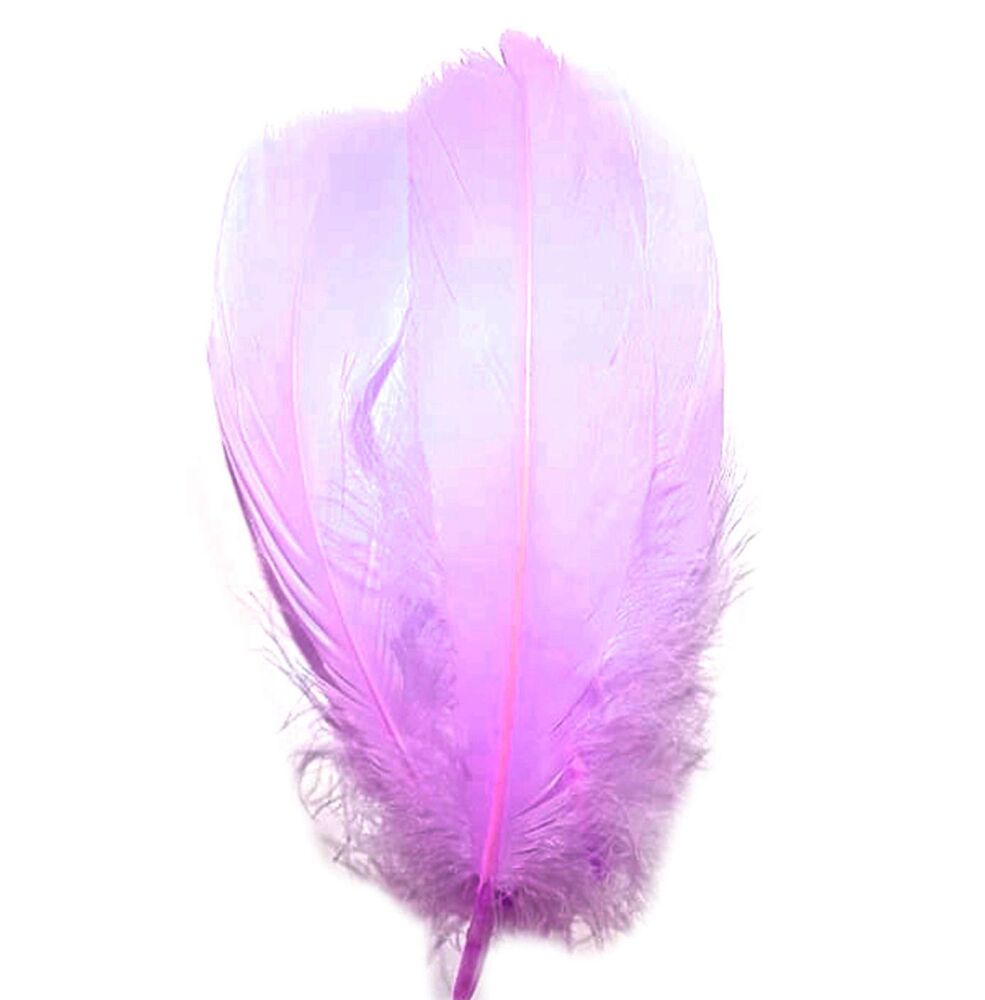 Lilac Parried Goose Pallette Feathers x 5
