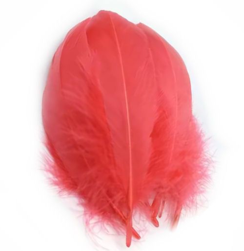 Coral Parried Goose Pallette Feathers x 5