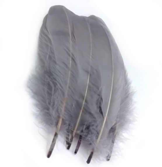 Dark Silver Grey Parried Goose Pallette Feathers x 5