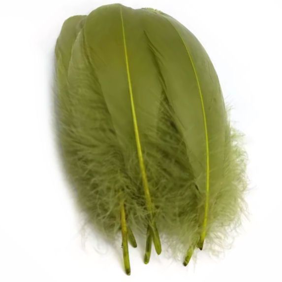 Moss Green Parried Goose Pallette Feathers x 5