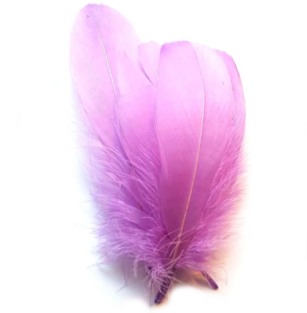 Lavender Parried Goose Pallette Feathers x 5