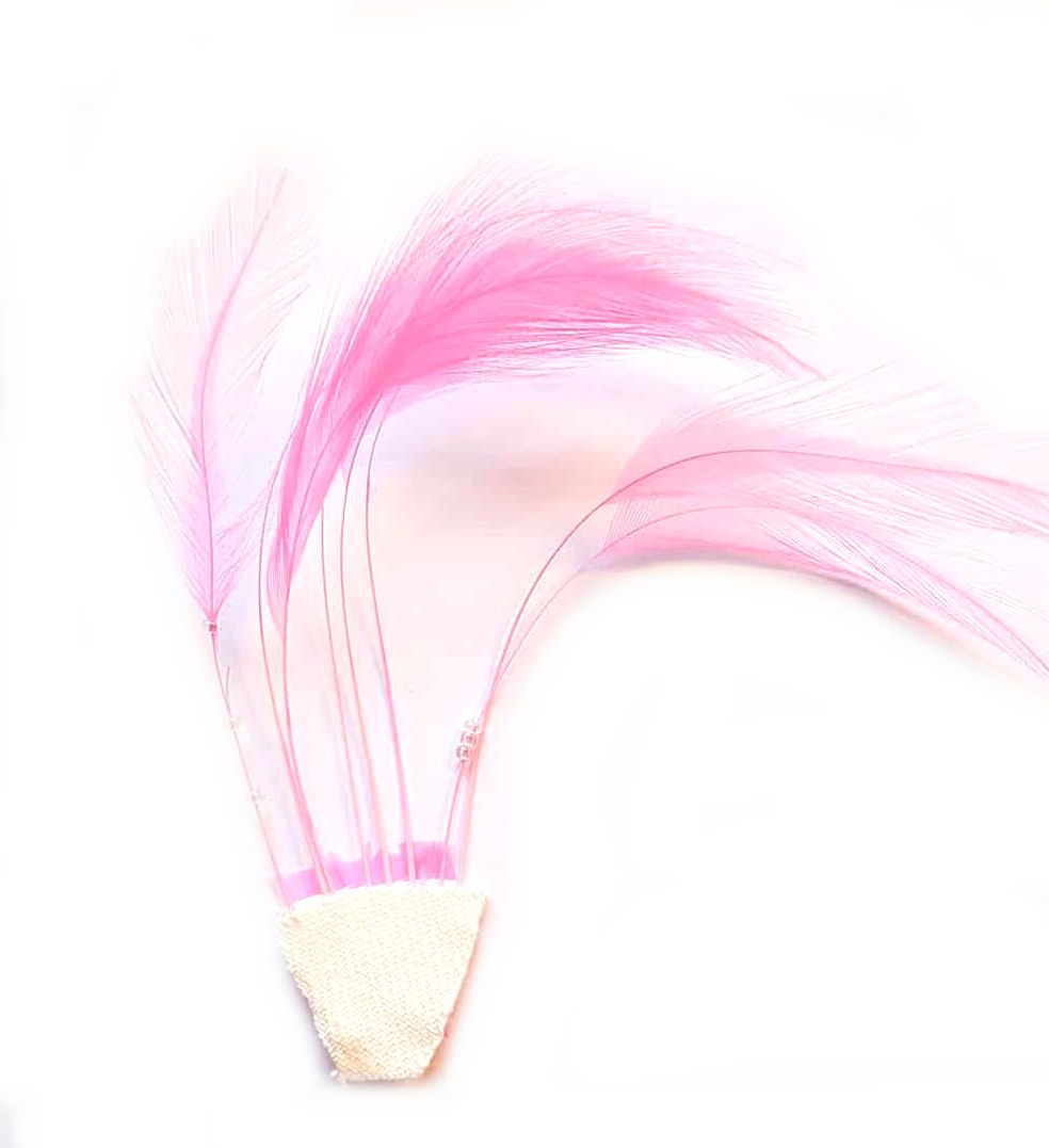 Bright Electric Pink Feathers Hackles Stripped x 8 (Seconds)