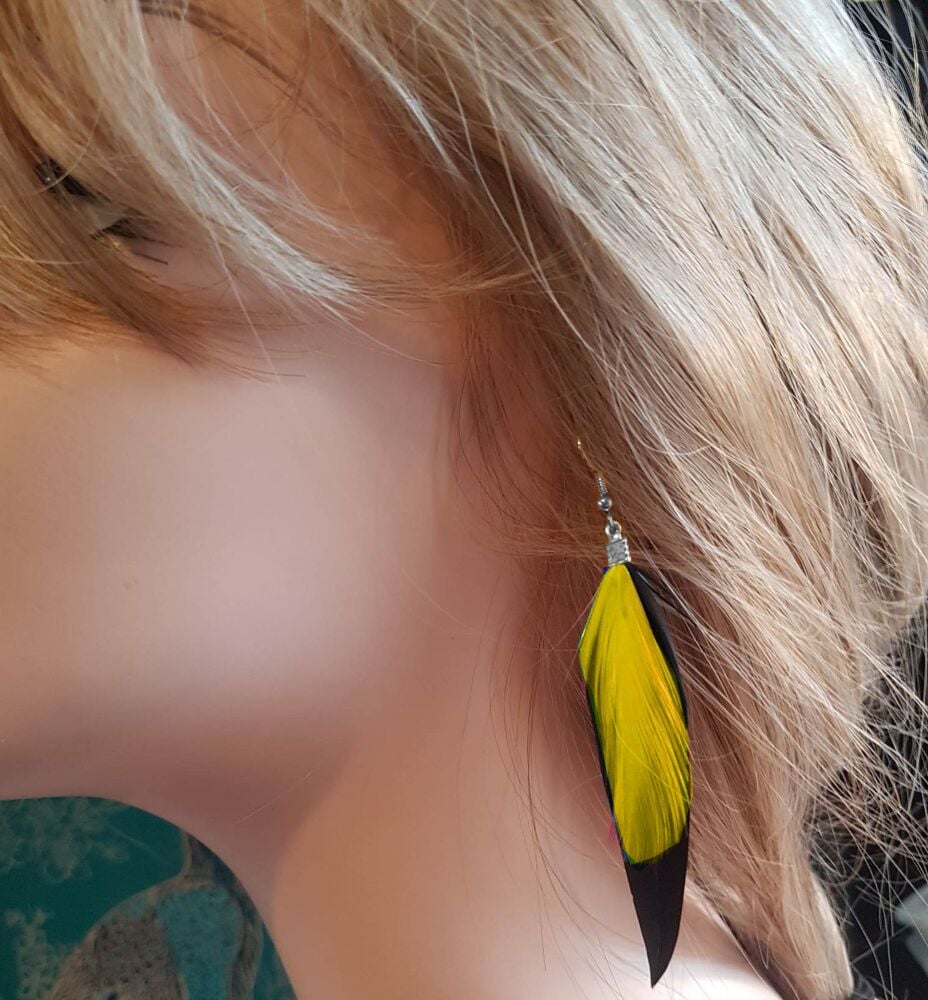 Black Feather Earrings with Yellow Hackle Feathers