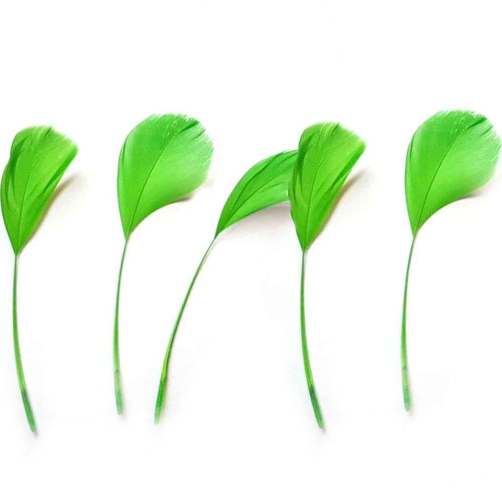 Apple Green Feathers Stripped Coque Style