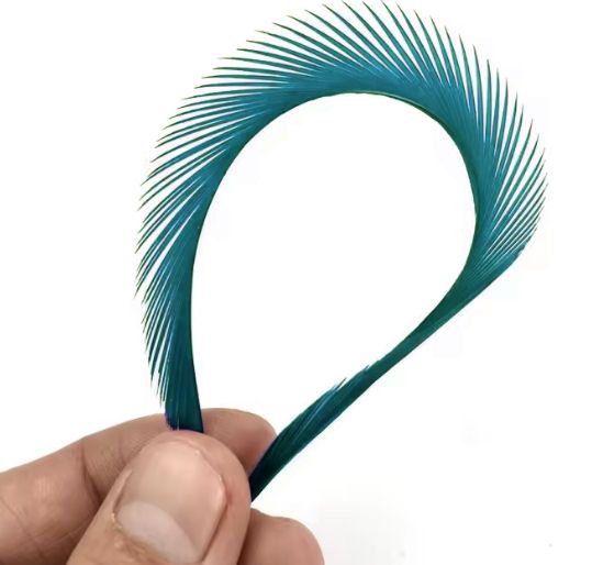 Teal Goose Biot Feather (Single)