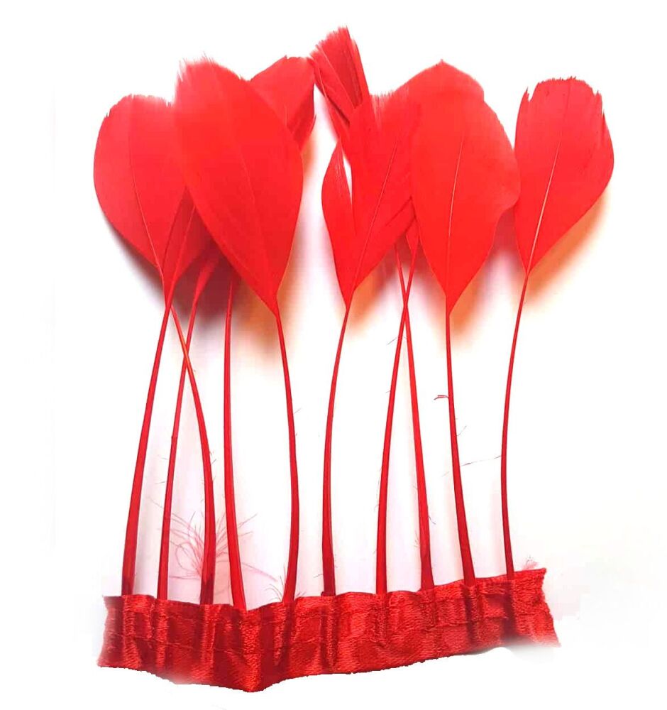 Red Stripped Coque Tail Rooster Feathers x 10