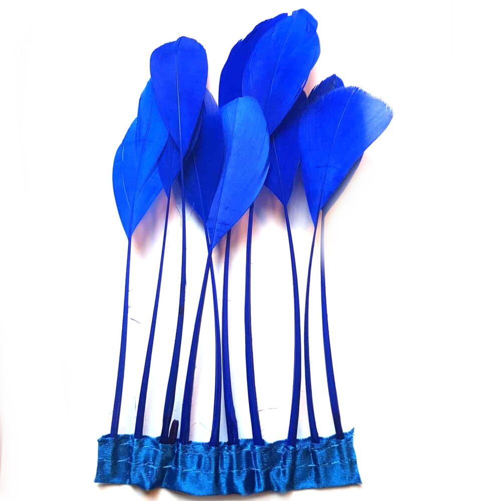 Royal Blue Stripped Coque Tail Rooster Feathers x 10