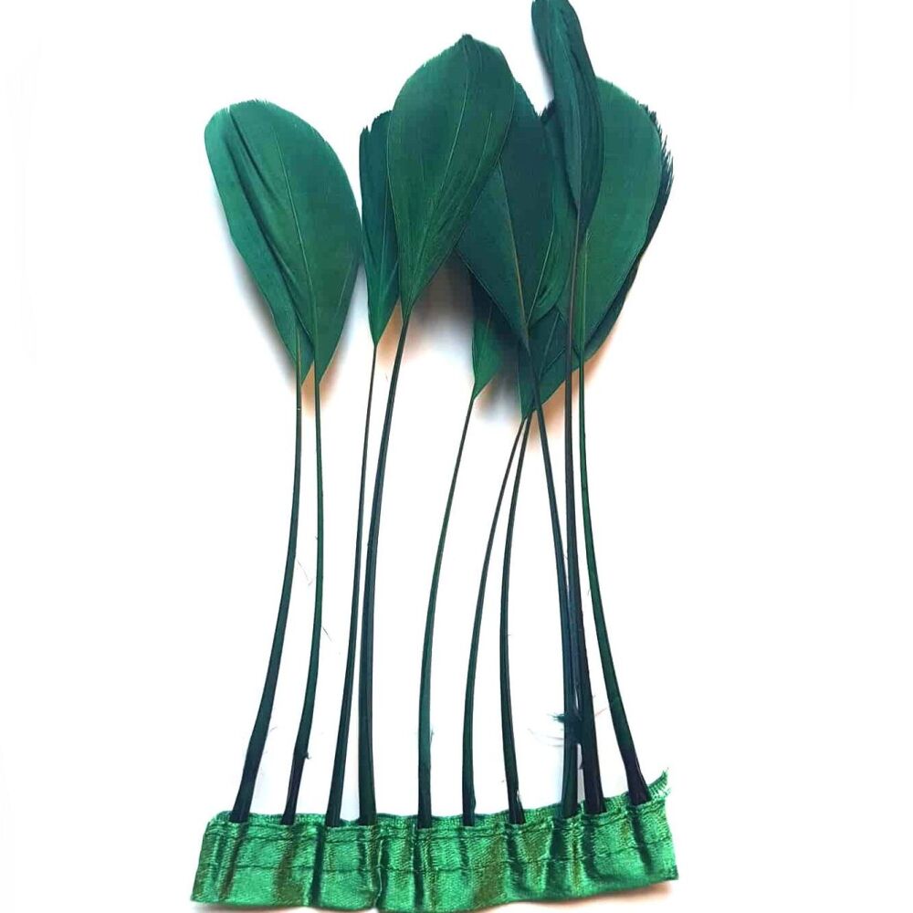 Dark Green Stripped Coque Tail Rooster Feathers x 10