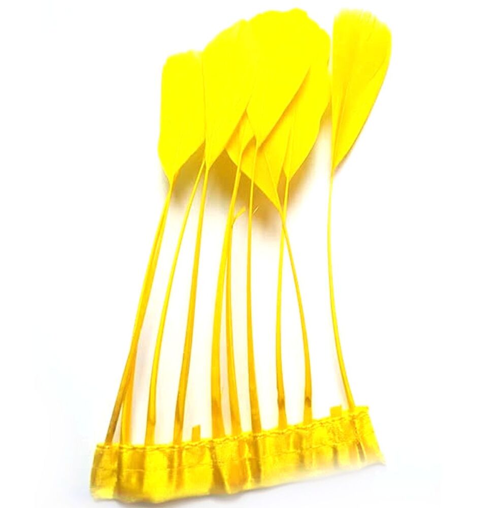 Yellow Stripped Coque Tail Rooster Feathers x 10