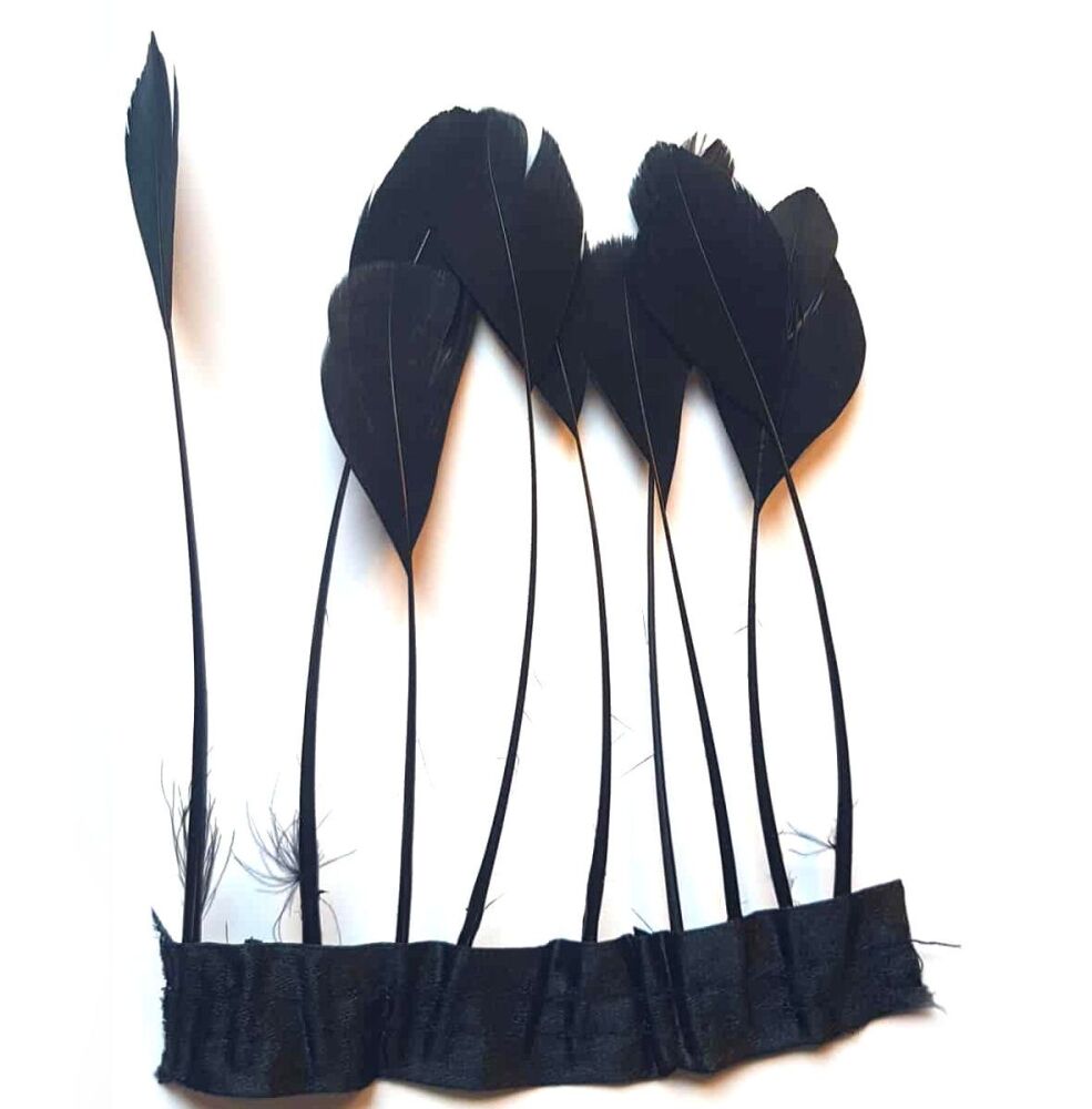 Black Stripped Rooster Coque Feathers x 10