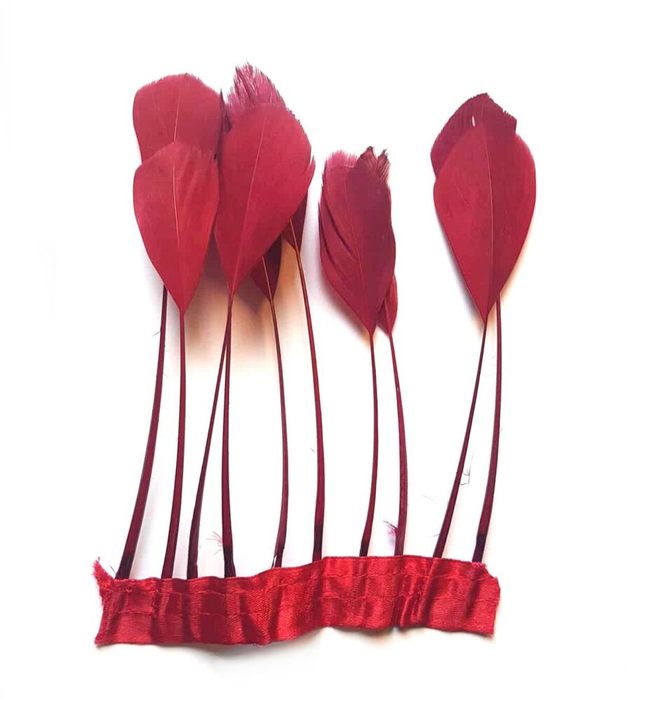 Dark Red Stripped Coque Tail Rooster Feathers x 10