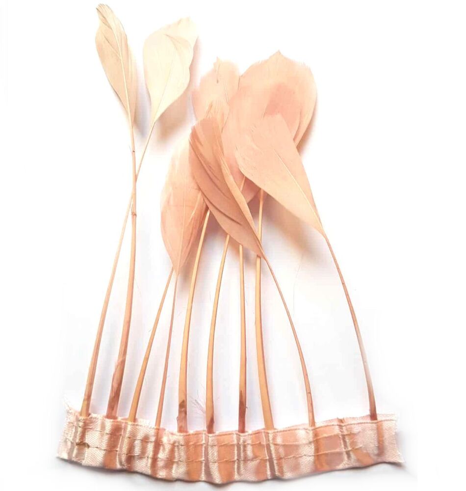 Dusky Pink Stripped Coque Tail Rooster Feathers x 10