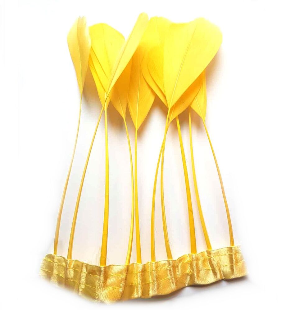 Lemon Yellow Stripped Coque Tail Rooster Feathers x 10