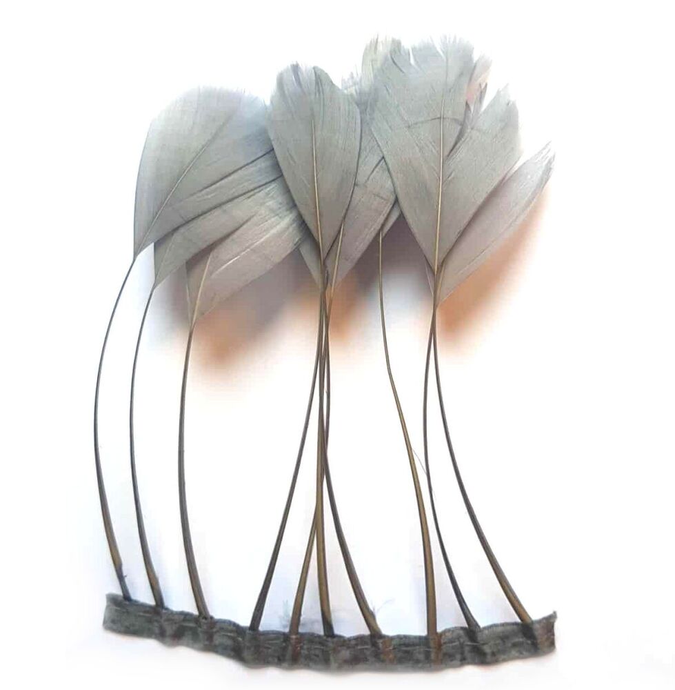 Silver Stripped Coque Tail Rooster Feathers x 10