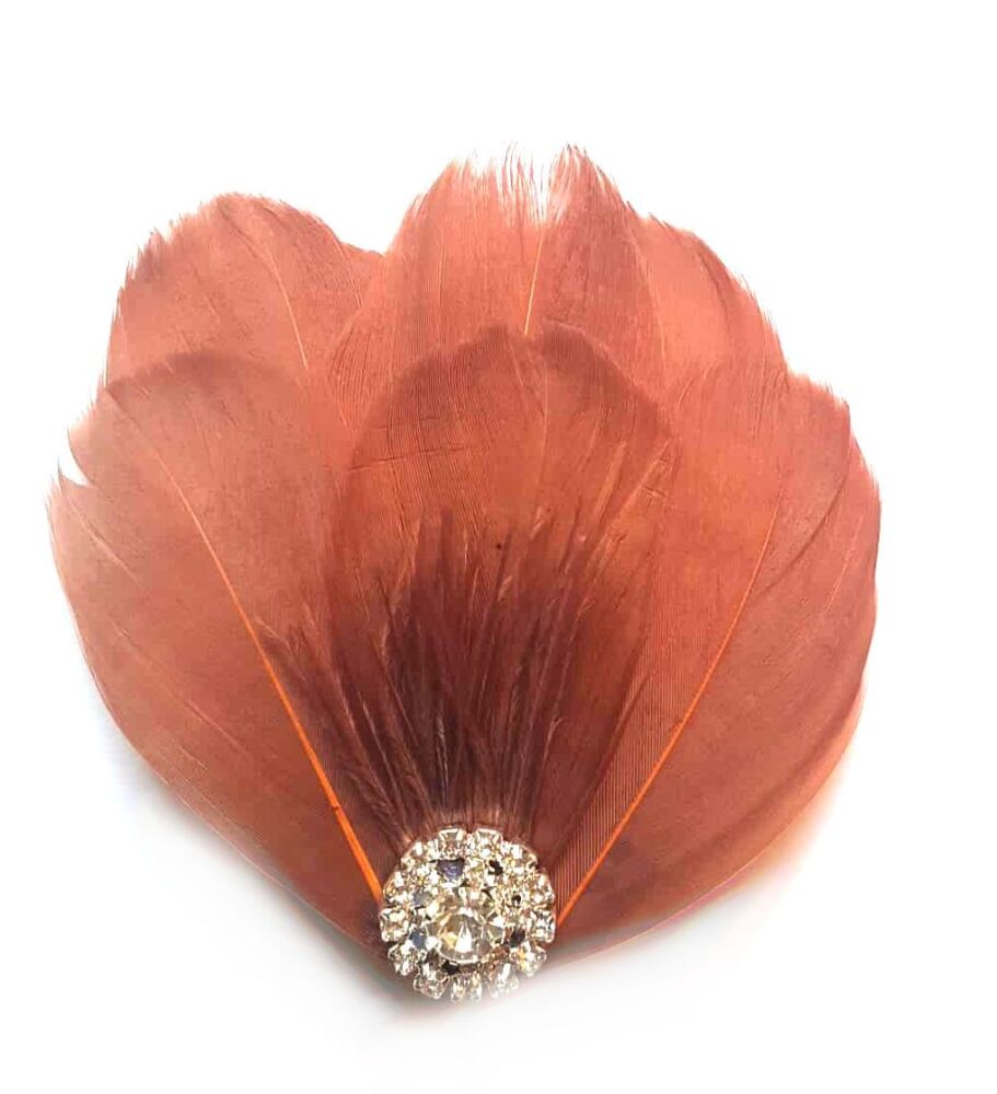 Brown Feather Hair Clip with Ostrich Hurl and Pearl, Diamante Gem