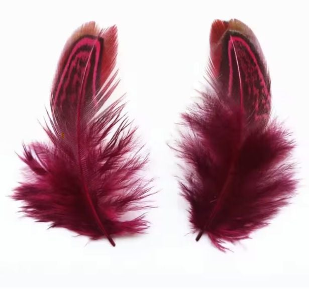 Dark Red Almond Ringneck Plumage Feathers