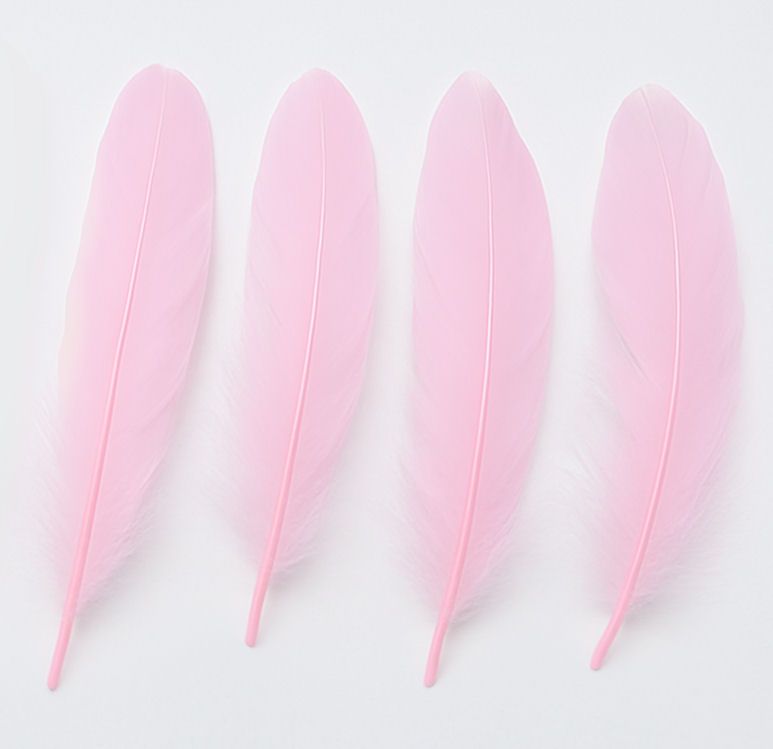 Baby Pink Goose Quill Feathers x 4