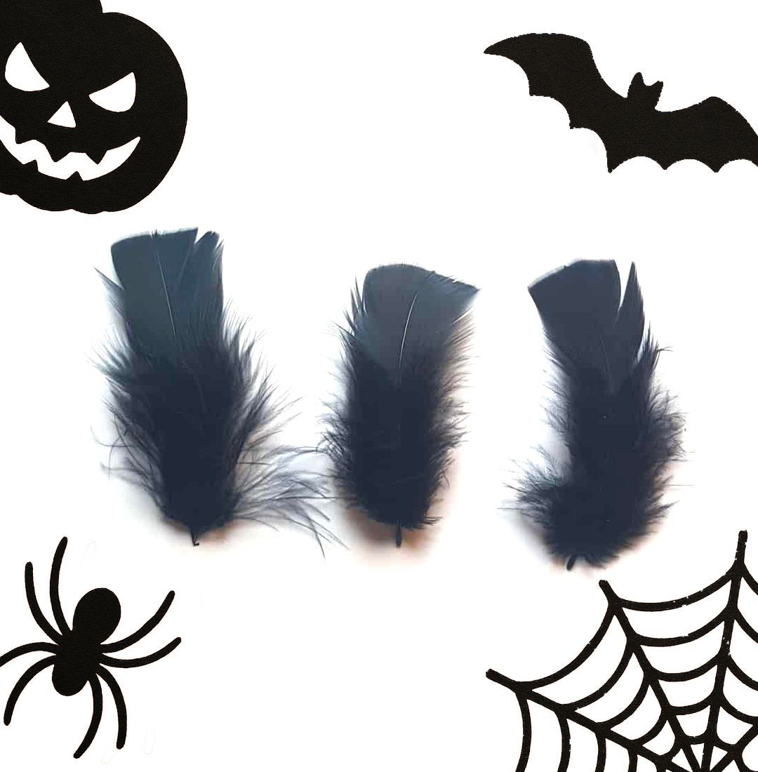 Black Fluffy Turkey Plumage Feathers
