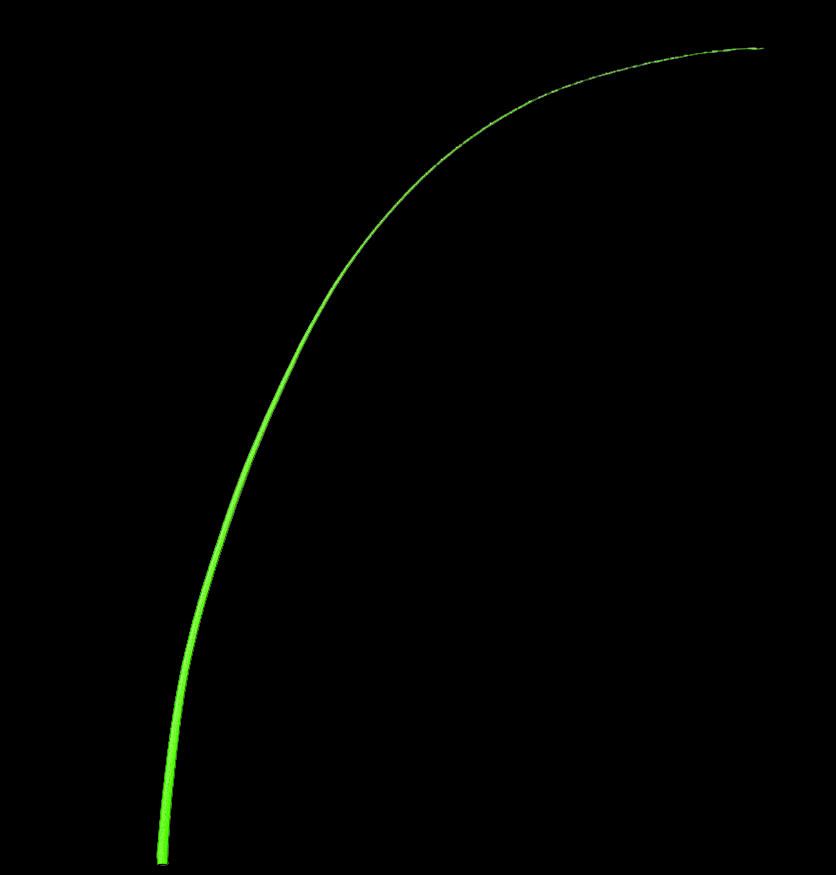 Bright Green Stripped Ostrich Quill Spine Feather – 45–55cm