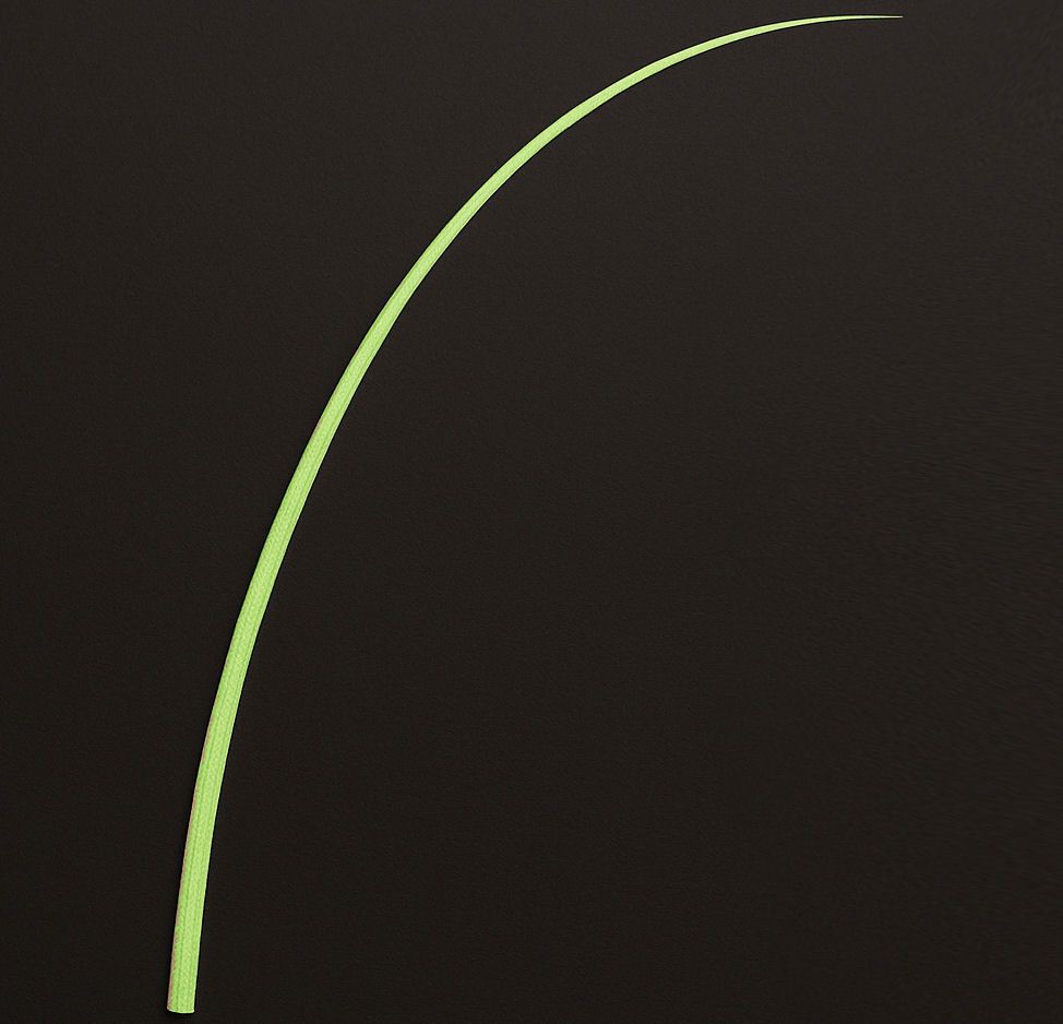 Lime Green Stripped Ostrich Quill Spine Feather – 45–55cm