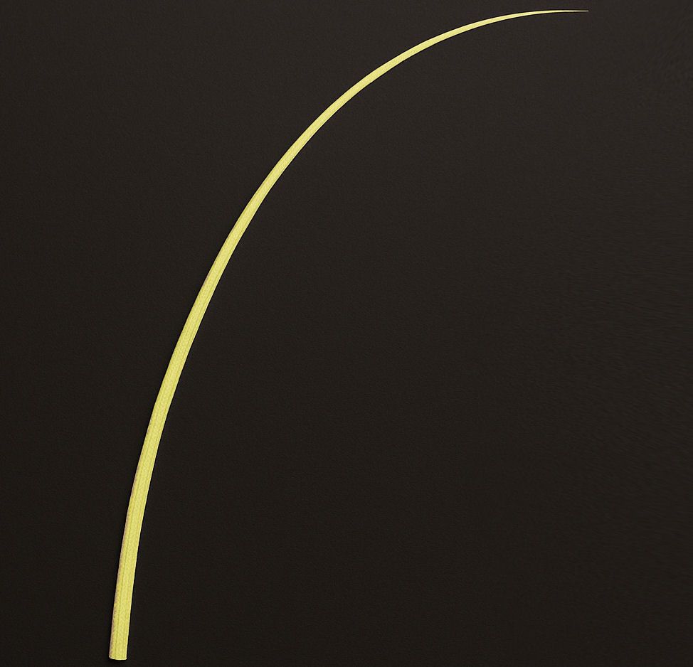 Lemon Yellow Stripped Ostrich Quill Spine Feather – 45–55cm