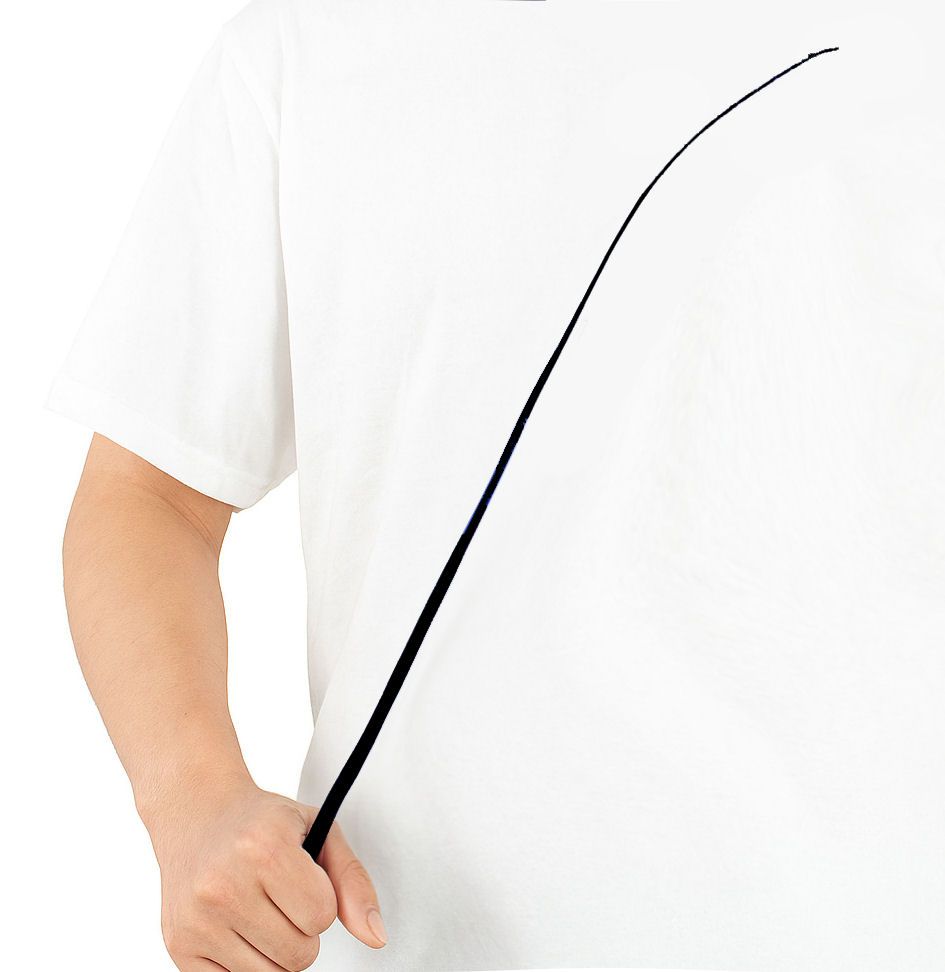 Black Stripped Ostrich Quill Spine Feather – 45–55cm