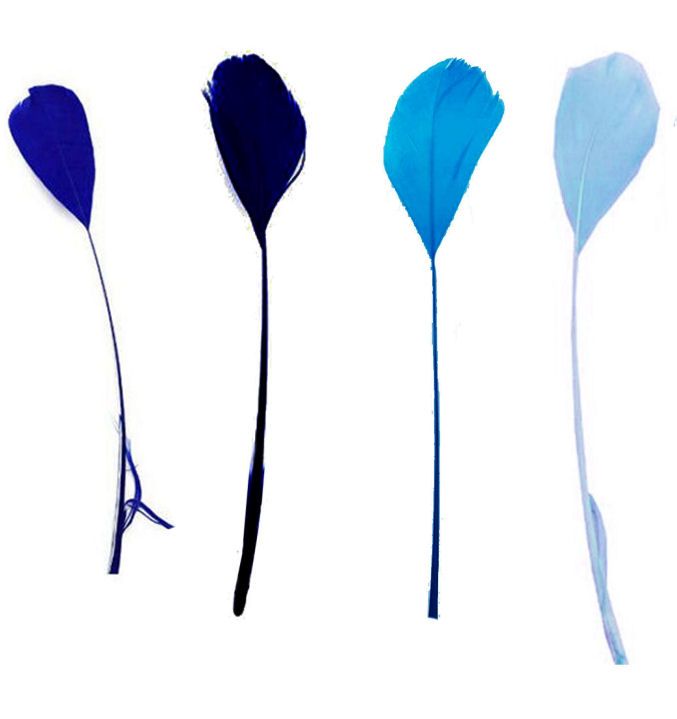 Assorted Blue Stripped Coque Feathers