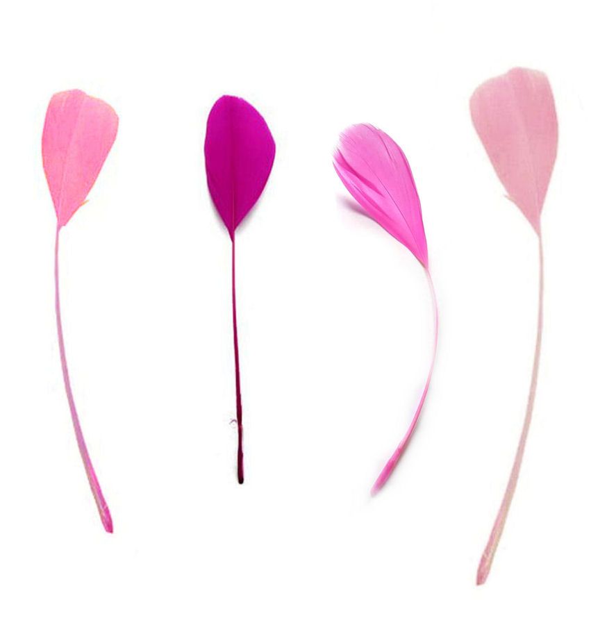 Assorted Pink Stripped Coque Feathers