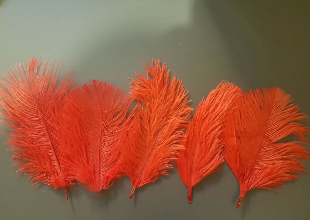 Red Ostrich Feather x 5 Seconds